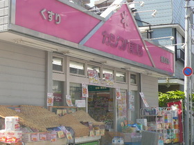 Other. Kashiwaba 380m until the pharmacy (Other)