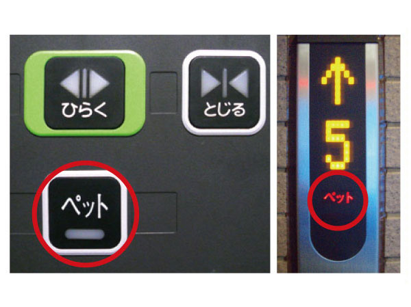 Other.  [Pet button ・ Pets with display lights Elevator] When you press the button is displayed on each floor of the display panel on when you ride along with the pet, Let you know that in advance pet is riding. Pet each other friendly system that does so as not rode.