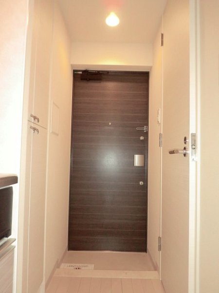 Entrance. Double lock of peace of mind