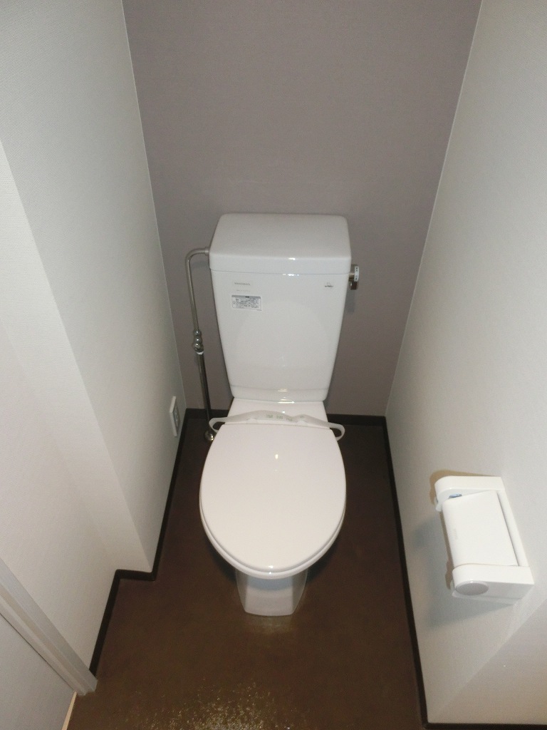 Toilet. Spacious space
