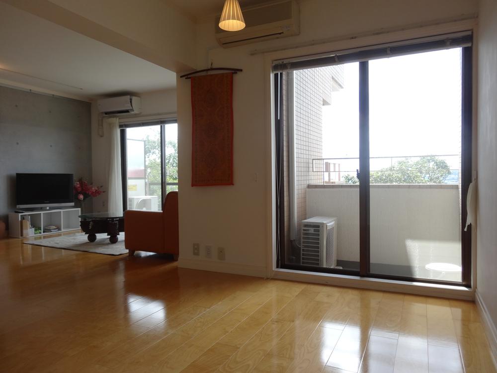 Living. South-facing living room is a lot Madomen, It contains the bright sunlight.