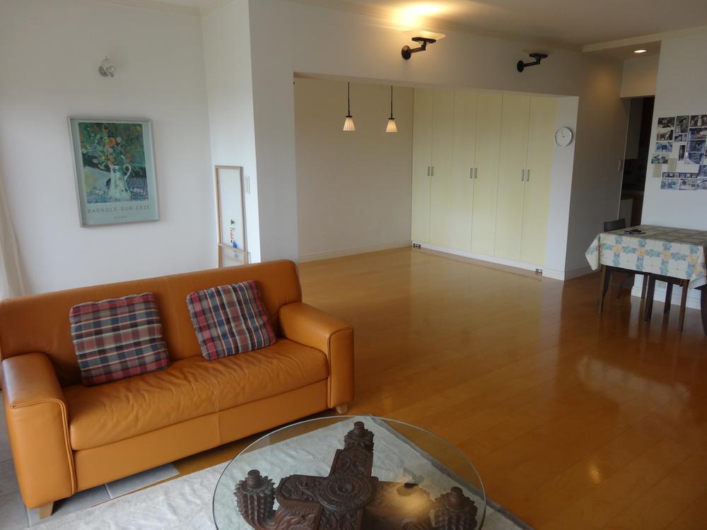 Living. With a convenient closet in the living room.