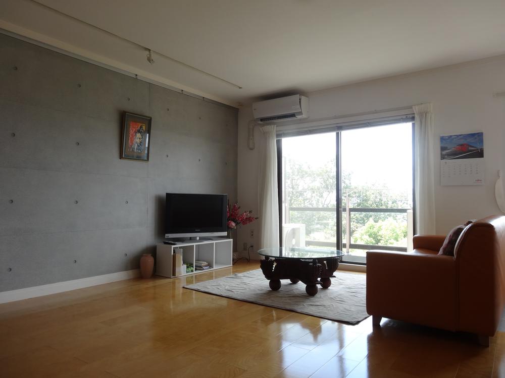 Living. Living room and spacious