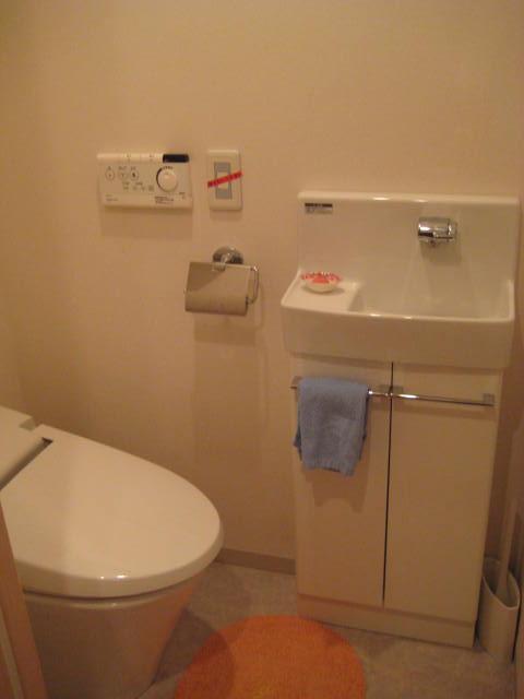 Toilet. Indoor (10 May 2013) Shooting With wash-basin