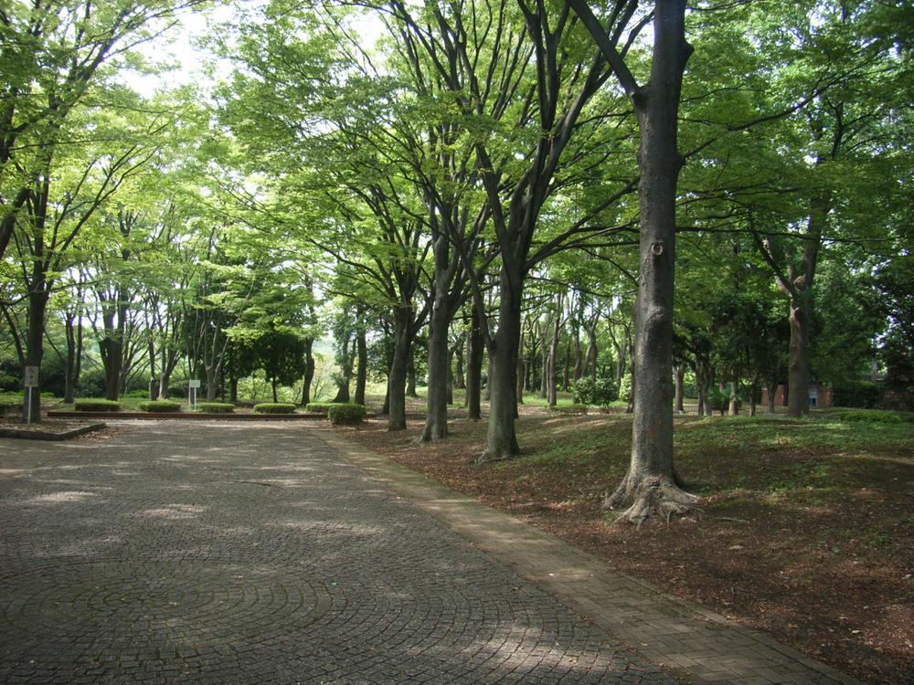park. 200m to Negishi Forest Park