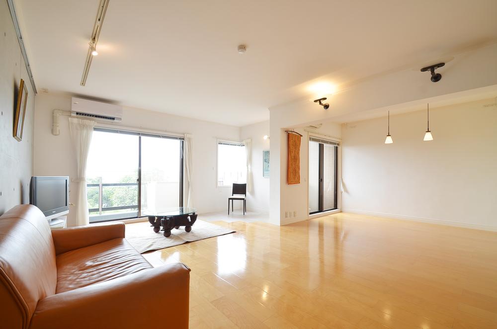 Living. Indoor (September 2013) Shooting