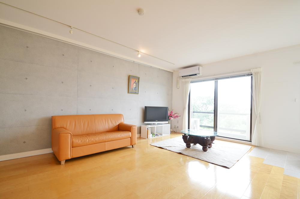 Living. Indoor (September 2013) Shooting