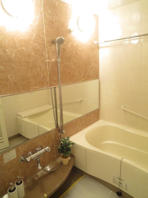 Bathroom. Indoor (11 May 2013) Shooting