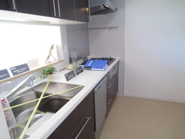 Kitchen. Indoor (11 May 2013) Shooting