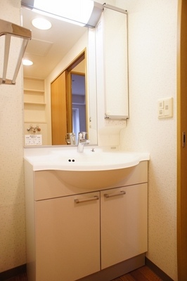 Washroom. Easy-to-use independent wash basin