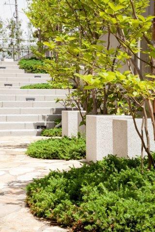 Other local. Local (June 2012) shooting