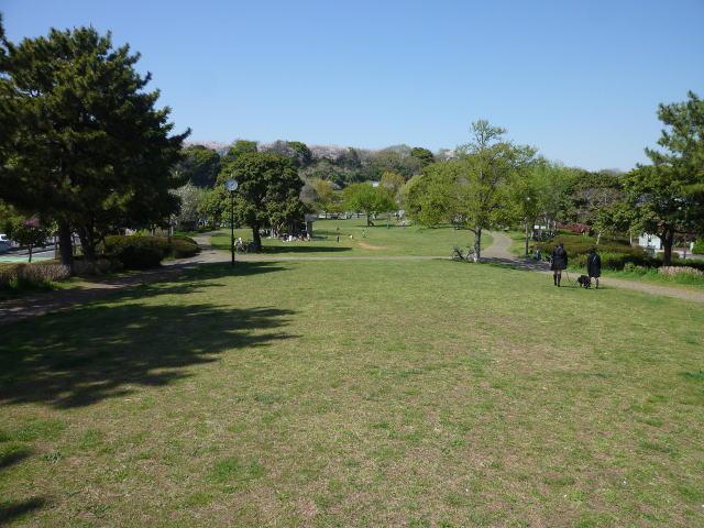 park. 743m is wide to new Honmoku park