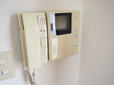 Security. Monitor with intercom