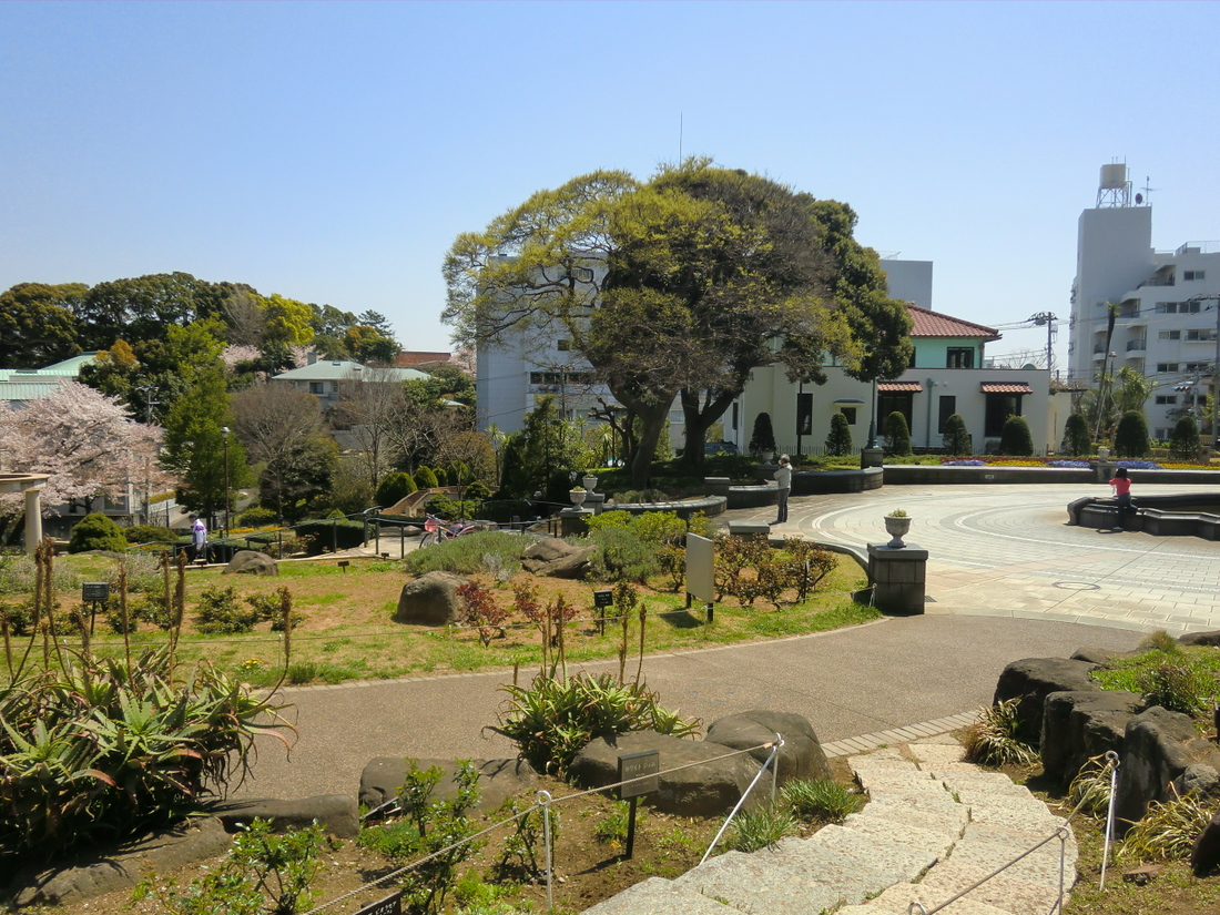 Other. Hill park with a view of the harbor