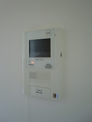 Security. Monitor with intercom