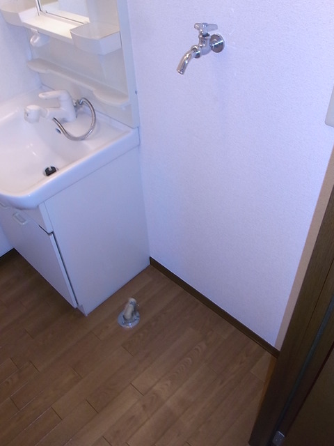 Other. Of course Indoor Laundry Area