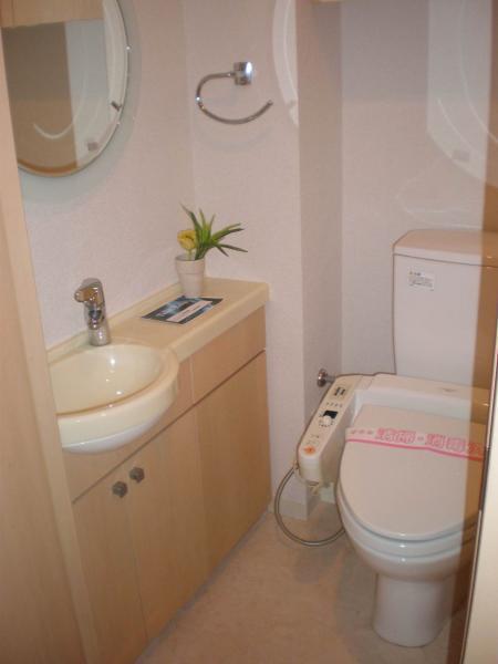 Toilet. Toilet with hand washing counter