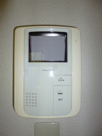 Other Equipment. TV monitor phone that visitors also firmly be confirmed