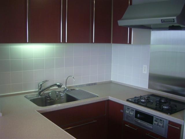 Kitchen. Indoor (10 May 2013) Shooting