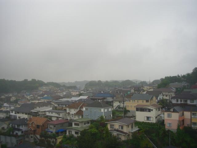 View photos from the dwelling unit. Local (10 May 2013) Shooting