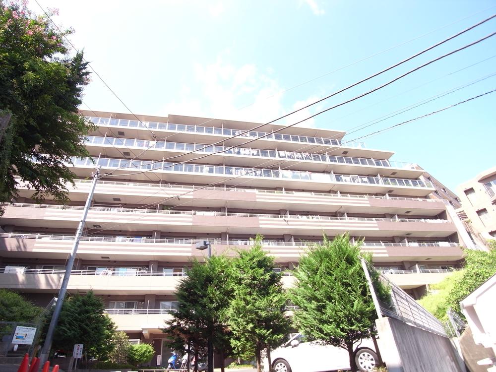 Local appearance photo. Local (10 May 2013) Shooting