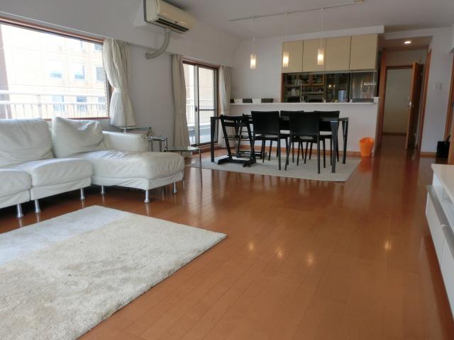 Living. Indoor (July 2013) Shooting