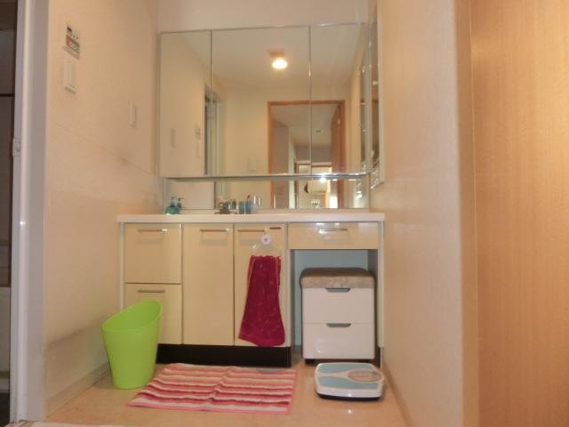 Wash basin, toilet. Indoor (10 May 2013) Shooting