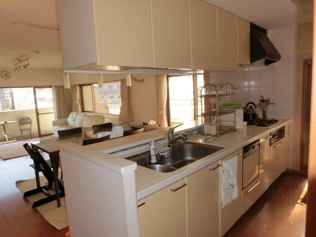 Kitchen. Indoor (10 May 2013) Shooting