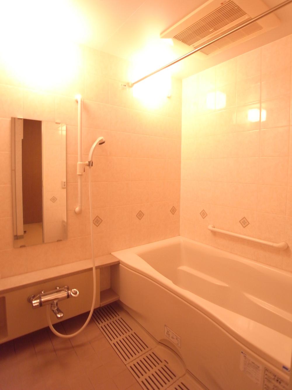 Bathroom. Room (August 2013) Shooting