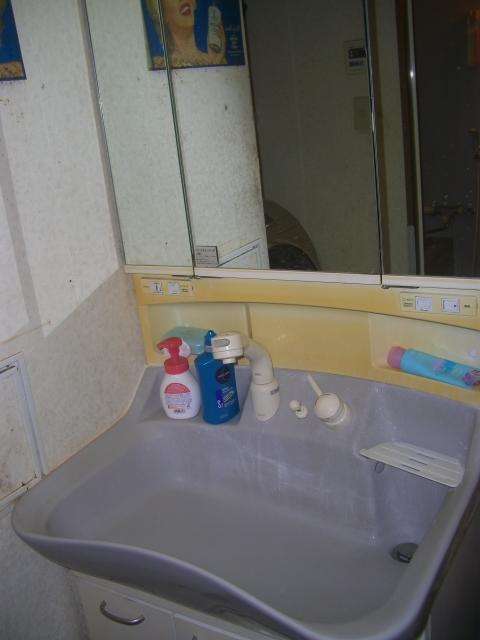 Wash basin, toilet. Washroom