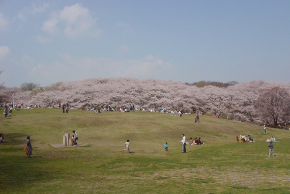 park. 542m to Forest Park (park)