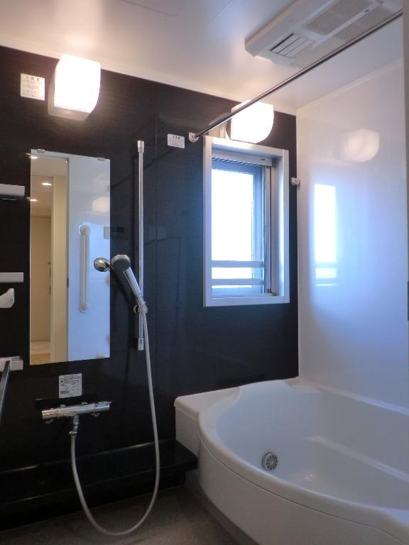 Bathroom. Indoor (12 May 2013) Shooting