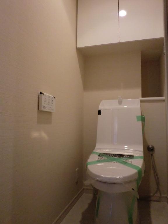 Toilet. Indoor (12 May 2013) Shooting