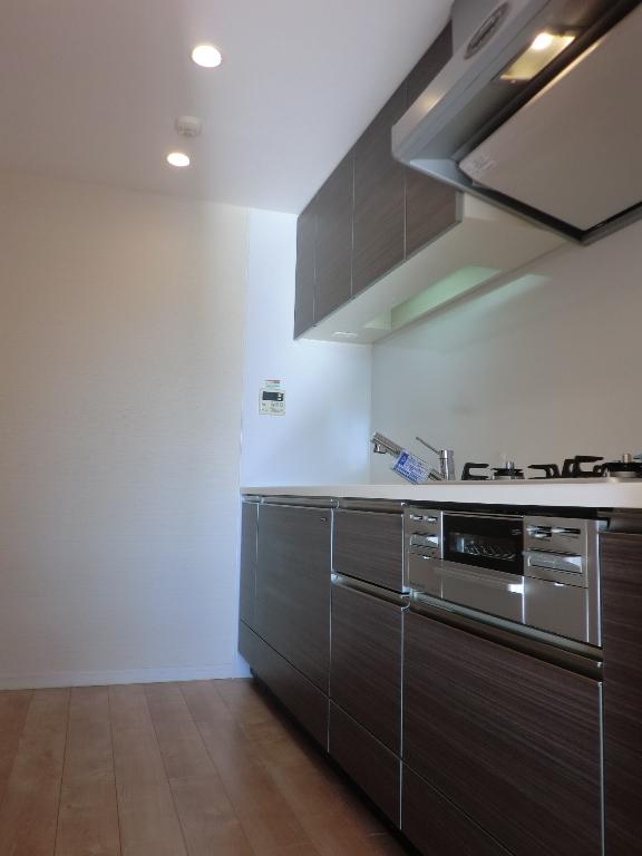 Kitchen. Indoor (12 May 2013) Shooting