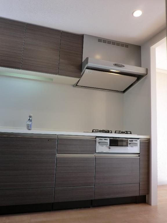 Kitchen. Indoor (12 May 2013) Shooting