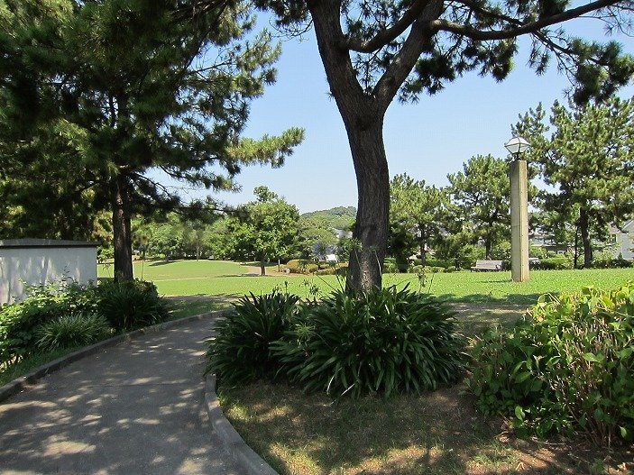 park. 96m until the new Honmoku park (park)