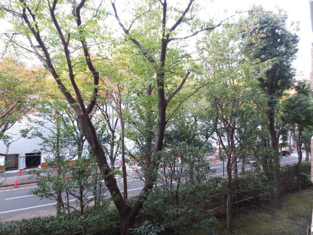 View photos from the dwelling unit. View from the balcony