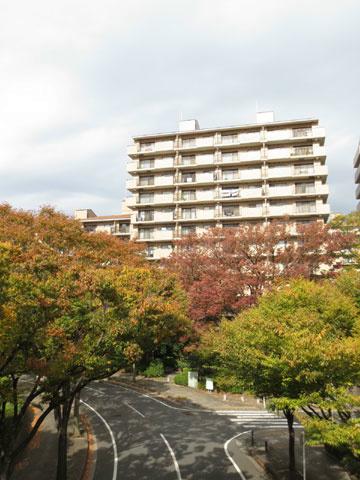 Local appearance photo. appearance