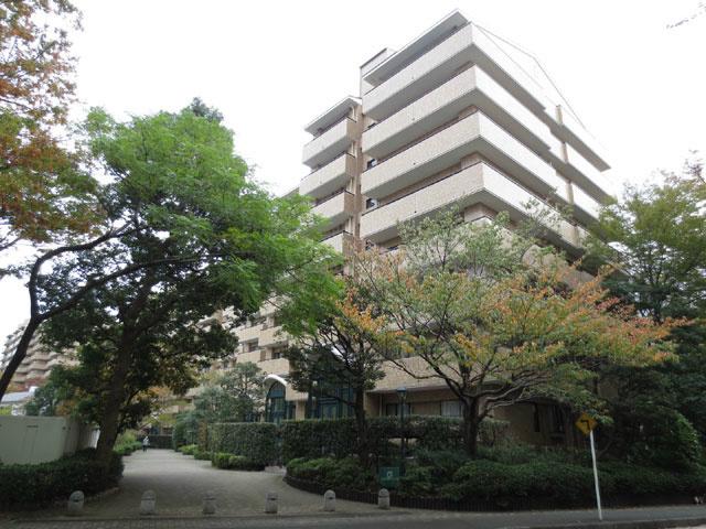 Rendering (appearance). appearance