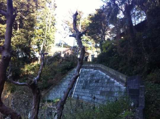 Local land photo. From the road surface