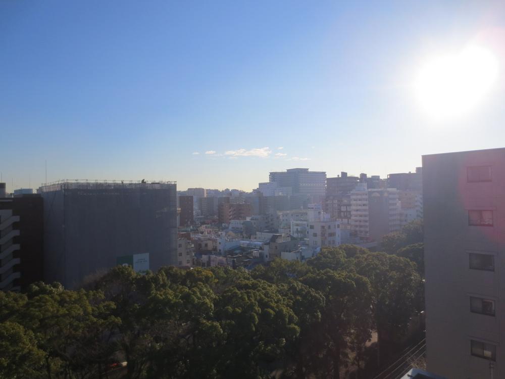 View photos from the dwelling unit. View from the living room. And views of the green main street park in front of the eye.