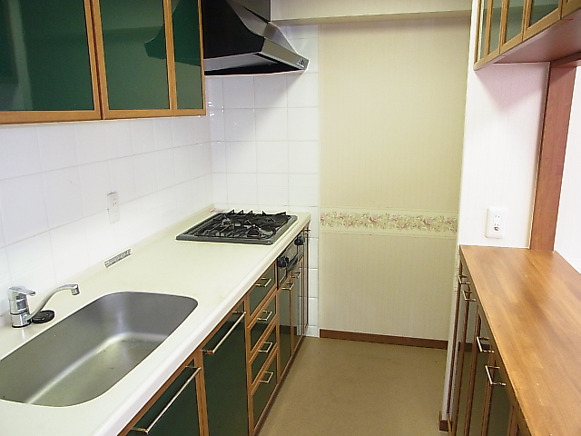 Kitchen. Emerald green color is of unusual kitchen