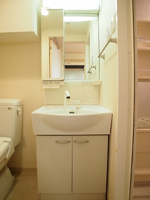 Washroom. Washstand is a photograph of the other room with a shower.