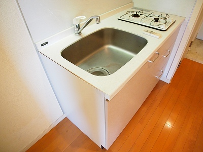 Kitchen. Two-burner stove, System kitchen is a photograph of the other room.