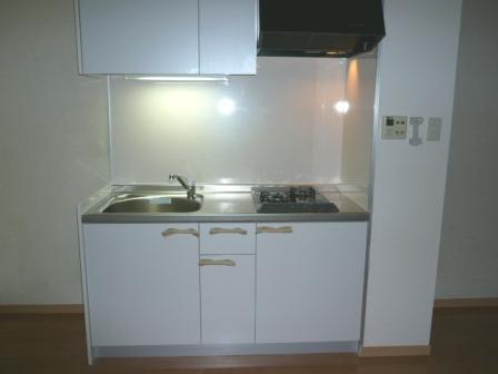 Kitchen. Indoor (11 May 2012) shooting ■ Kitchen new (August 2013) ■ 2 lot gas stoves adoption