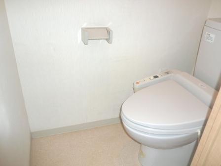 Toilet. Indoor (11 May 2013) Shooting ■ Shower toilet installation
