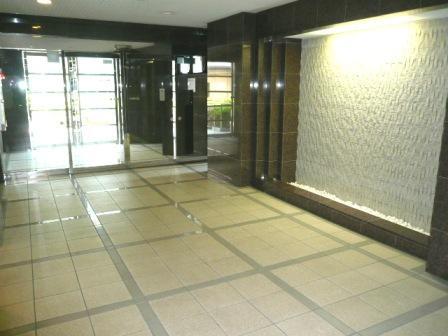 Entrance. Common areas: the massive appearance Entrance Hall