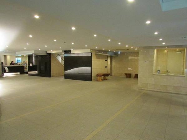 Entrance. Common areas