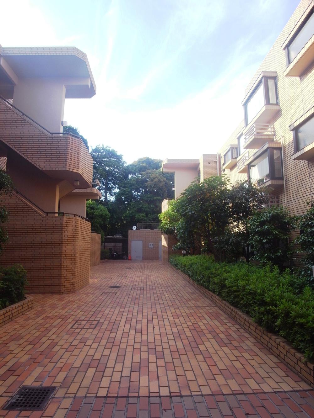 Other. Introspection