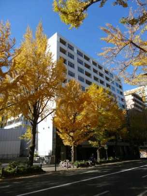 Local appearance photo. appearance